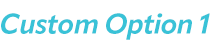 Custom Option #1