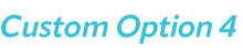 Custom Option #4